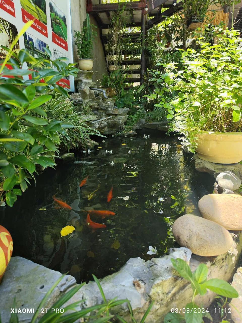 Trang An Central Homestay Ninh Bình Kültér fotó